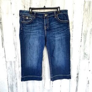 Kut from the Kloth Women’s Natalie Crop Blue Denim Size 16 38X20